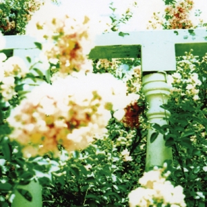 Little Wars by Unwed Sailor