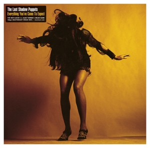 Everything You've Come To Expect by Last Shadow Puppets
