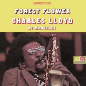 Forest Flower