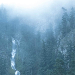 Diadem of 12 Stars by Wolves In the Throne Room