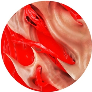 Flesh