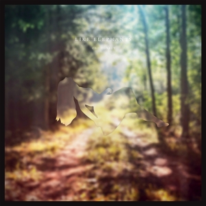 Oneironaut by Like Elephants