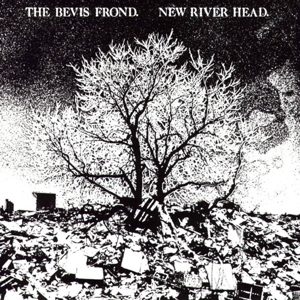 New River Head by Bevis Frond