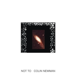 Not To by Newman, Colin