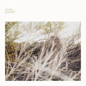 A Hand Through the Cellar Door by Temple, Luke