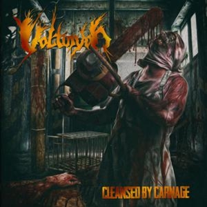 Cleansed By Carnage by Volturyon