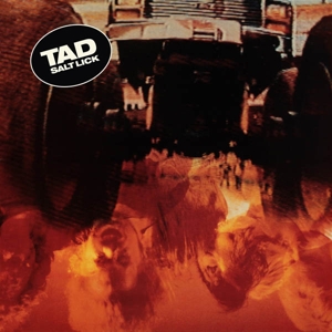 Salt Lick (Deluxe) by Tad