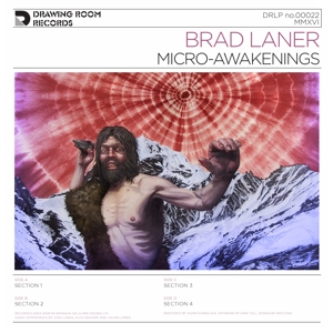 Micro-Awakenings -Hq- by Laner, Brad