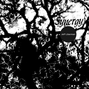 Synergy by Liberman, Jeff