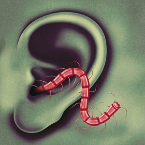 An Odd Entrances by Thee Oh Sees