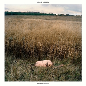 Brokenlegged by Sinai Vessel