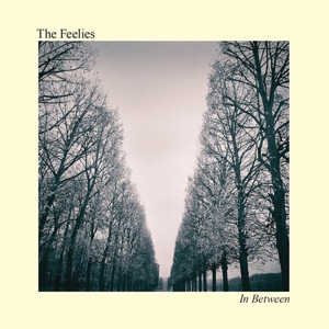 In Between by Feelies