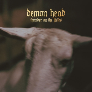 Thunder On the Fields by Demon Head