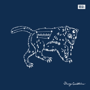 Strange Constellations by Matheny, William