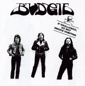 If Swallowed Do Not Induce Vomiting by Budgie
