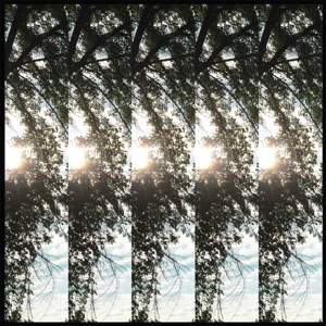 Dialectic of Ignorence by Pontiak