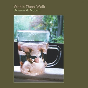 Within These Walls by Damon & Naomi