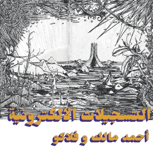 Electronic Tapes by Malik, Ahmed & Flako