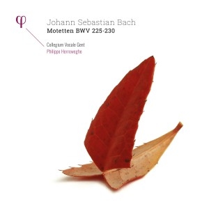 Motetten Bwv 225-230 by Bach, Johann Sebastian