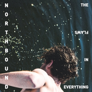 Flaws In Everything by Northbound
