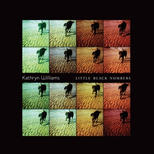 Little Black Numbers by Williams, Kathryn