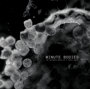 Minute Bodies: the Intimate World by Tindersticks