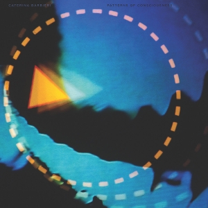 Patterns of Consciousness by Barbieri, Caterina