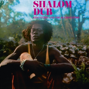 Shalom Dub by King Tubby -and the Ag...