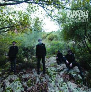 A Gut Feeling by Rippers