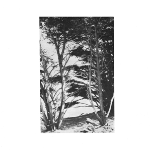 Gentle Wilderness by Deitrick, Rick