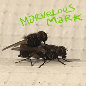 Buzzin' by Marvelous Mark