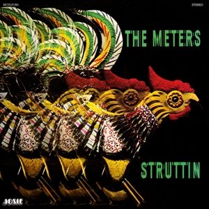 Struttin' by Meters
