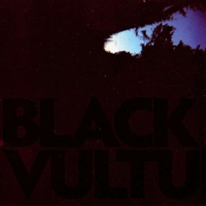 Black Vultures by Norgren, Daniel