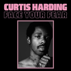 Face Your Fear by Harding, Curtis