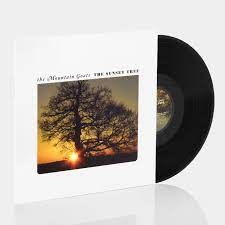Sunset Tree