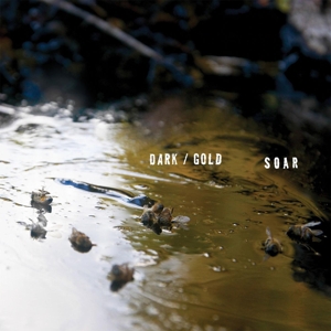 Dark / Gold by Soar