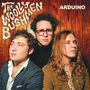 Arduino by Woolly Bushmen