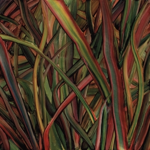 Where Wildness Grows by Gengahr