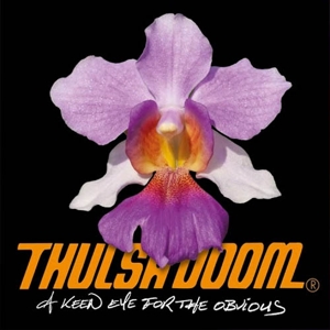 A Keen Eye For the Obvious by Thulsa Doom