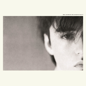 Crumbling the Antiseptic by Felt