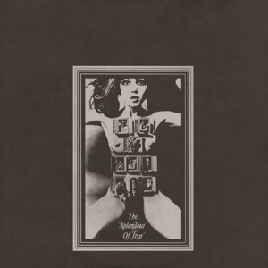 Splendour of Fear by Felt