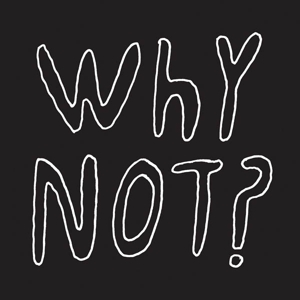 Why Not? by Half Japanese