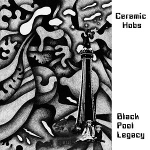 Black Pool Legacy by Ceramic Hobs