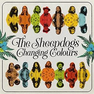 Changing Colours by Sheepdogs