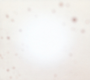 There's a Riot Going On by Yo La Tengo