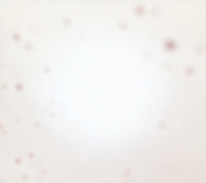 There's a Riot Going On by Yo La Tengo