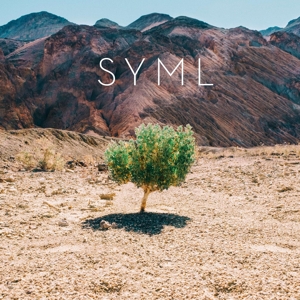 In My Body by Syml
