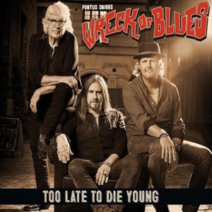 Too Late To Die Young by Pontus Snibb's Wreck O...