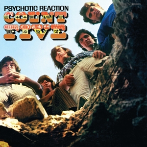 Psychotic Reaction by Count Five