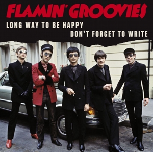 Long Way To Be Happy by Groovies, Flamin